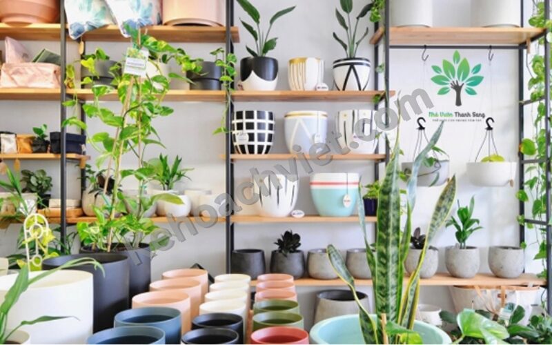 KẾ HOẠCH KINH DOANH CÂY CẢNH - Kehoachviet.com 2