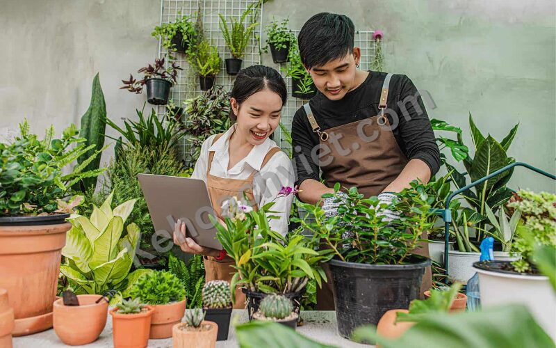 KẾ HOẠCH KINH DOANH CÂY CẢNH - Kehoachviet.com 5