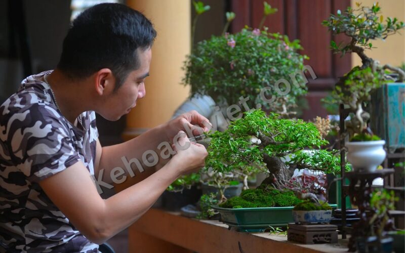 KẾ HOẠCH KINH DOANH CÂY CẢNH - Kehoachviet.com 6