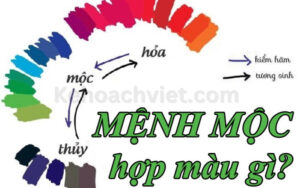 Mệnh mộc nên kinh doanh gì? - Kehoachviet.com 2